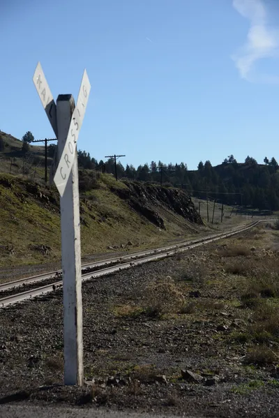 DSC_1084 (Large).JPG